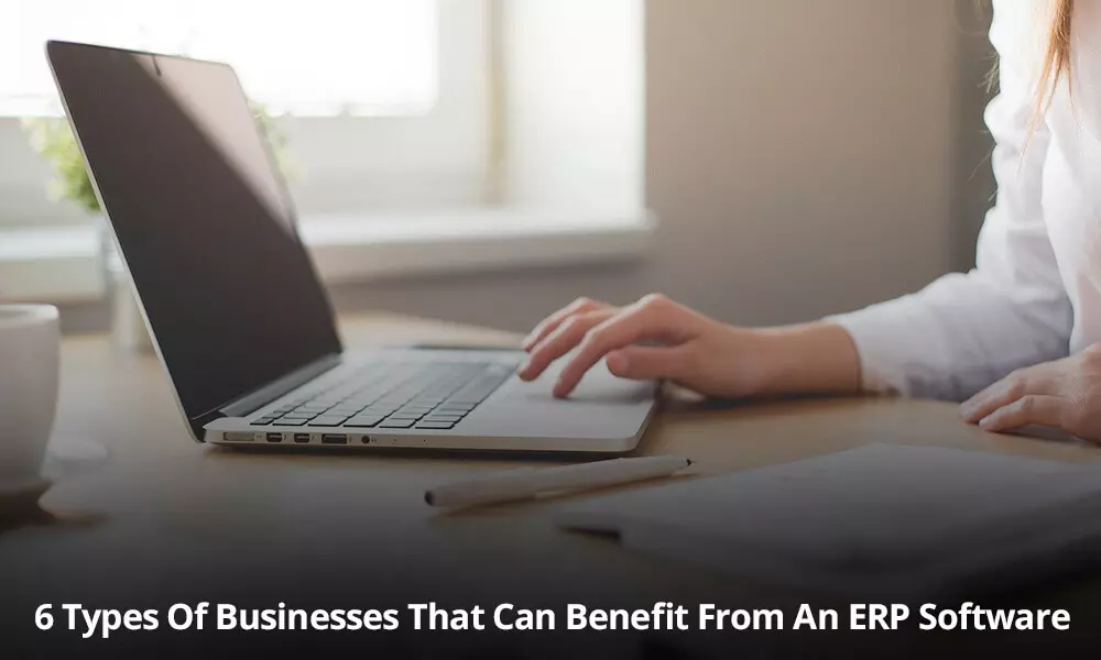 Which Type Of Businesses Benefit Through An ERP Software?