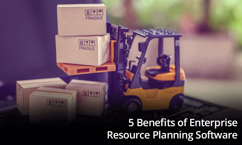 5 Benefits of Enterprise Resource Planning Software