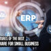 10 Key Features of the Best-Fit ERP Software for Small Business