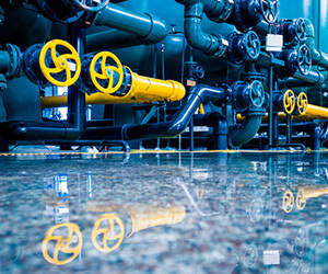ERP for Valves Industry