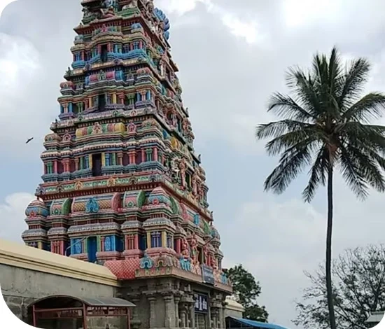 Image link